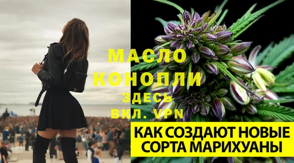 мяу мяу кристалл Новозыбков