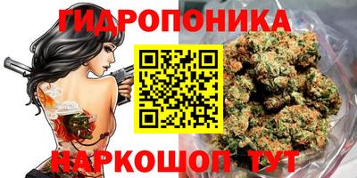 гидра Донецк