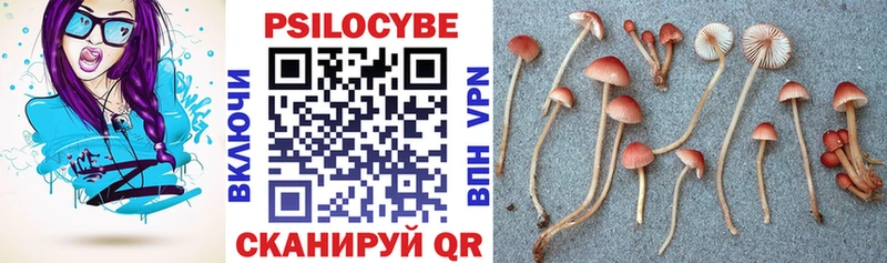 дарнет шоп  Старый Оскол  кракен   Галлюциногенные грибы Cubensis 