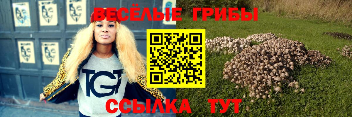 Псилоцибиновые грибы Psilocybine cubensis  Вход с VPN  Старый Оскол  Псилоцибиновые грибы Psilocybe 