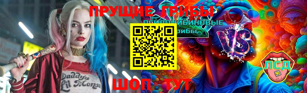 Галлюциногенные грибы GOLDEN TEACHER Старый Оскол